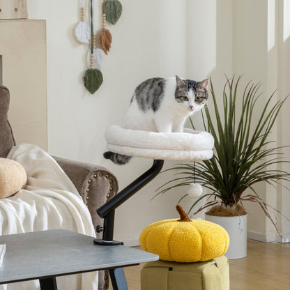 Cat Desk Bed, Cat Hammock 360° Rotatable Adjustable for Window, Table, Work, Cream White