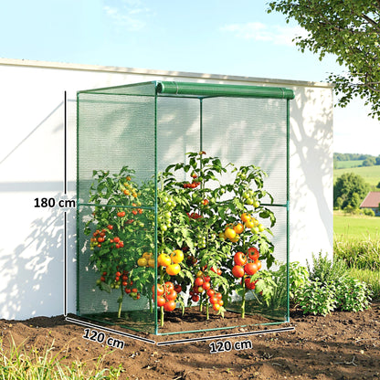 120 x 120cm Compact Plant Cage, with Netting - Green