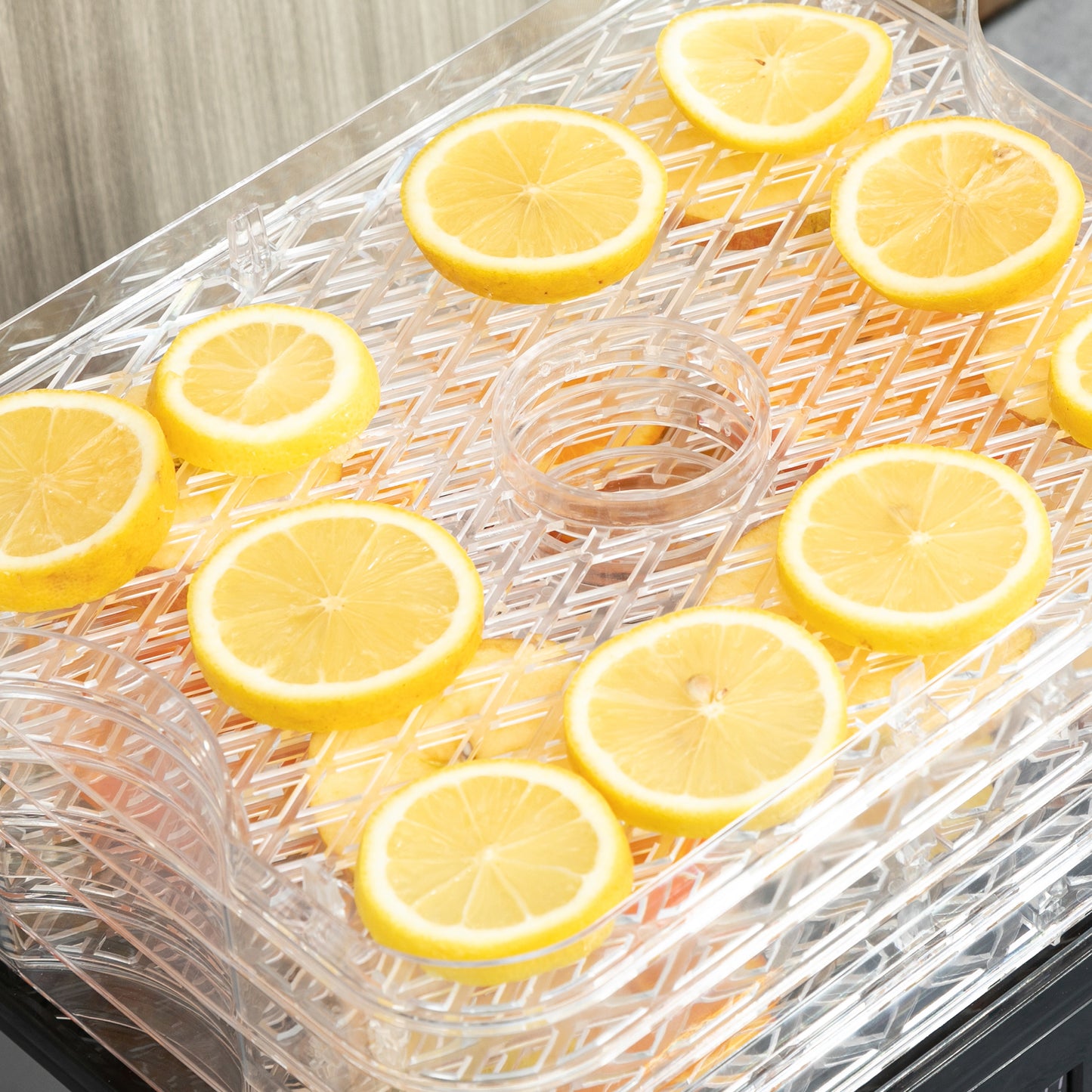 5 Tier Food Dehydrator, 245W Stainless Steel Food Dryer Machine with Adjustable Temperature