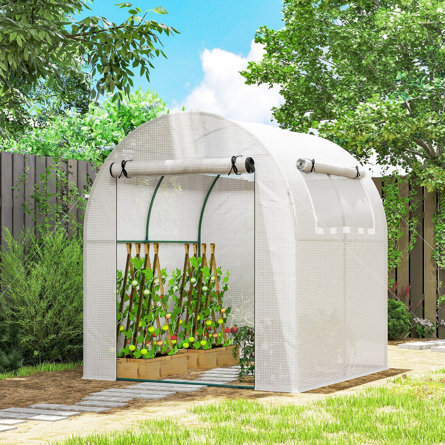 Walk in Polytunnel Greenhouse, Green House for Garden with Roll-up Window and Door, 1.8 x 1.8 x 2 m, White