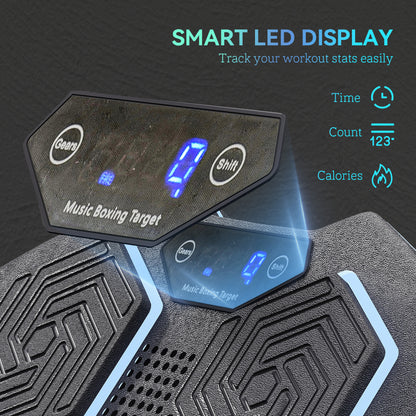 Music Boxing Machine, Smart Bluetooth Boxing Machine Wall Mounted with 9 Speeds & Modes, LED Lights, Punching Pad for Adults