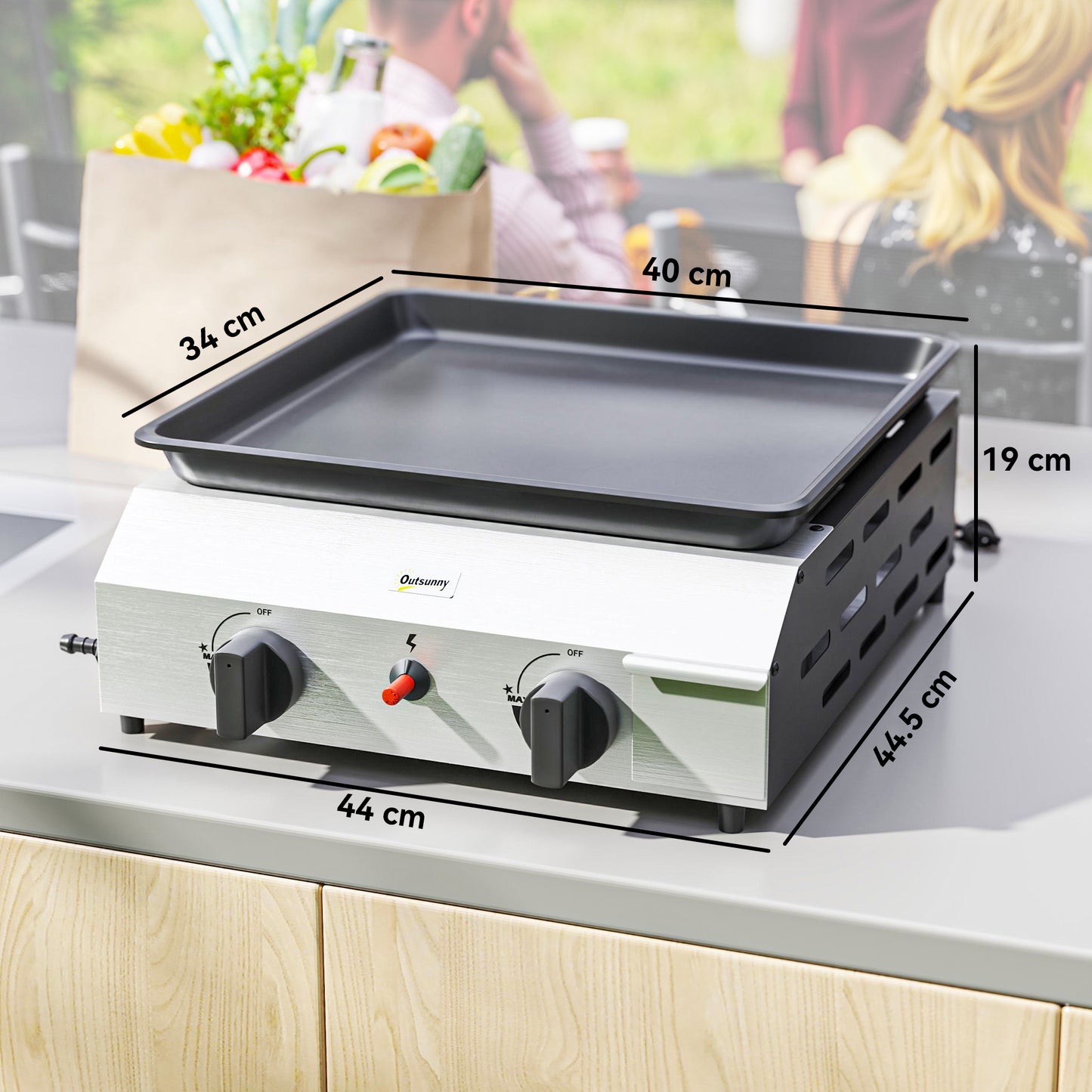 Two Burner Portable Gas Grill