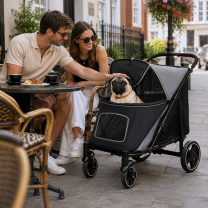 Foldable Pet Stroller, with Universal Wheels, Shock Absorber, for Medium and Large Dogs - Black