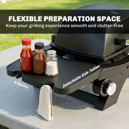 2 Burner Gas Grill with 2 Detachable Side Tables, 3.8 KW Steel Barbecue Grill with Cast Iron Grates, Lid, Thermometer