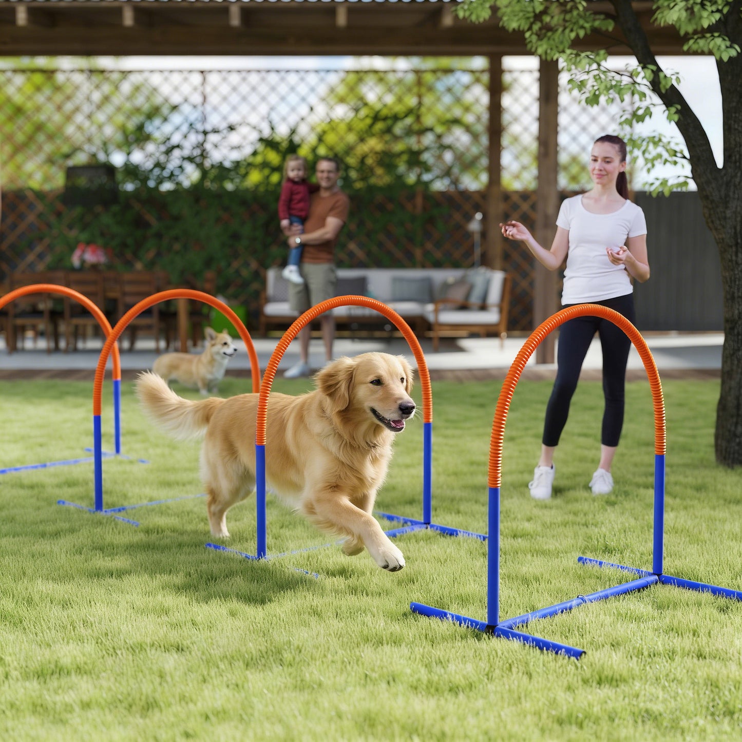 Four-Piece Portable Dog Agility Equipment - Blue