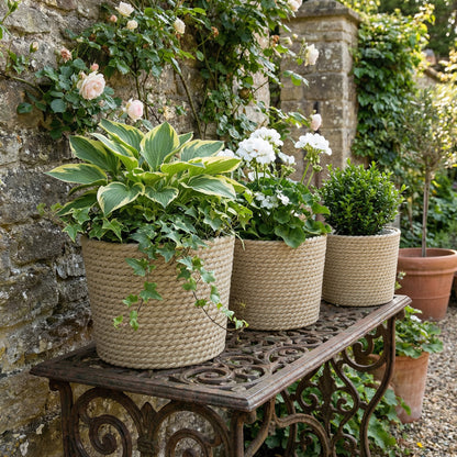 Seagrass Planters Set of 3 Plant Pots for Indoor Outdoor Patio Balcony Natural