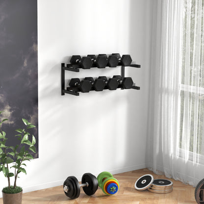 Wall-Mounted Dumbbell Rack, 2-Tier Weight Stand, Space-Saving and Multi-Functional Steel organiser for Home Gym, Black