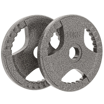 Set of 2 Cast Iron Weight Plates for 2 inch/5cm Hole Dumbbell Handle Bar, 20kg Dumbbell Plates Barbell Weight 2 x 10kg