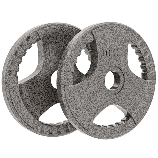 Set of 2 Cast Iron Weight Plates for 2 inch/5cm Hole Dumbbell Handle Bar, 20kg Dumbbell Plates Barbell Weight 2 x 10kg