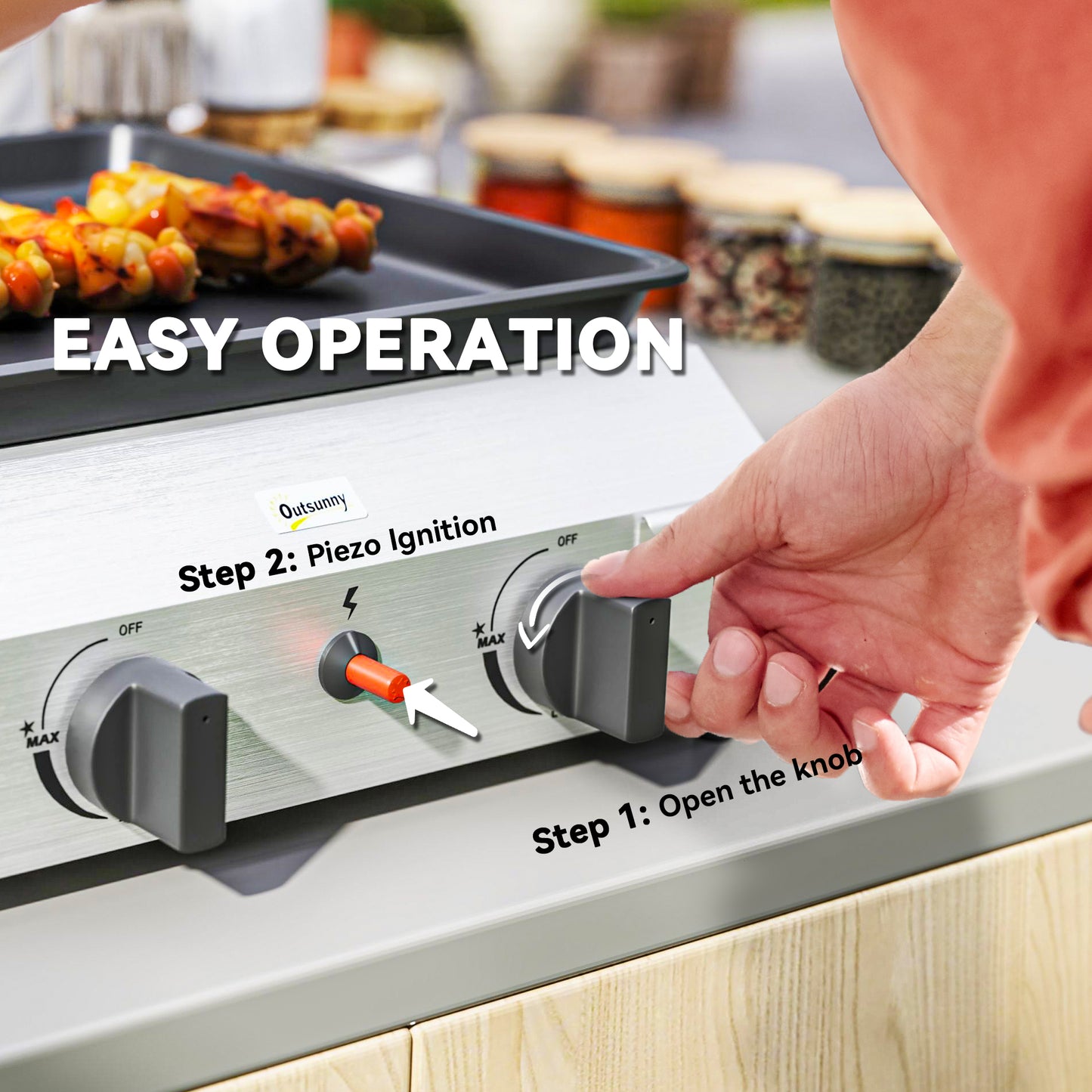 Two Burner Portable Gas Grill