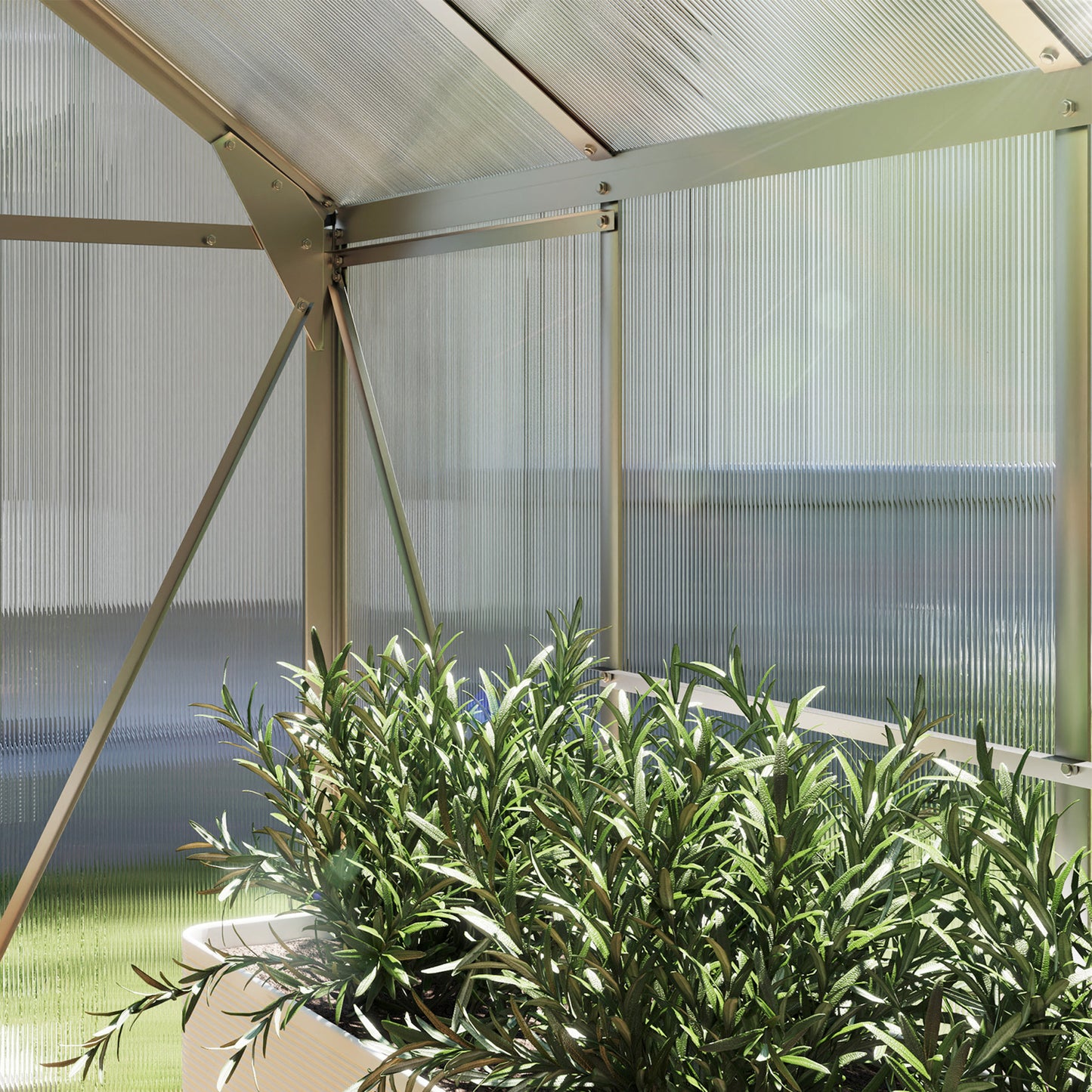 6 x 8ft Walk-In Greenhouse, with Sliding Door - Clear