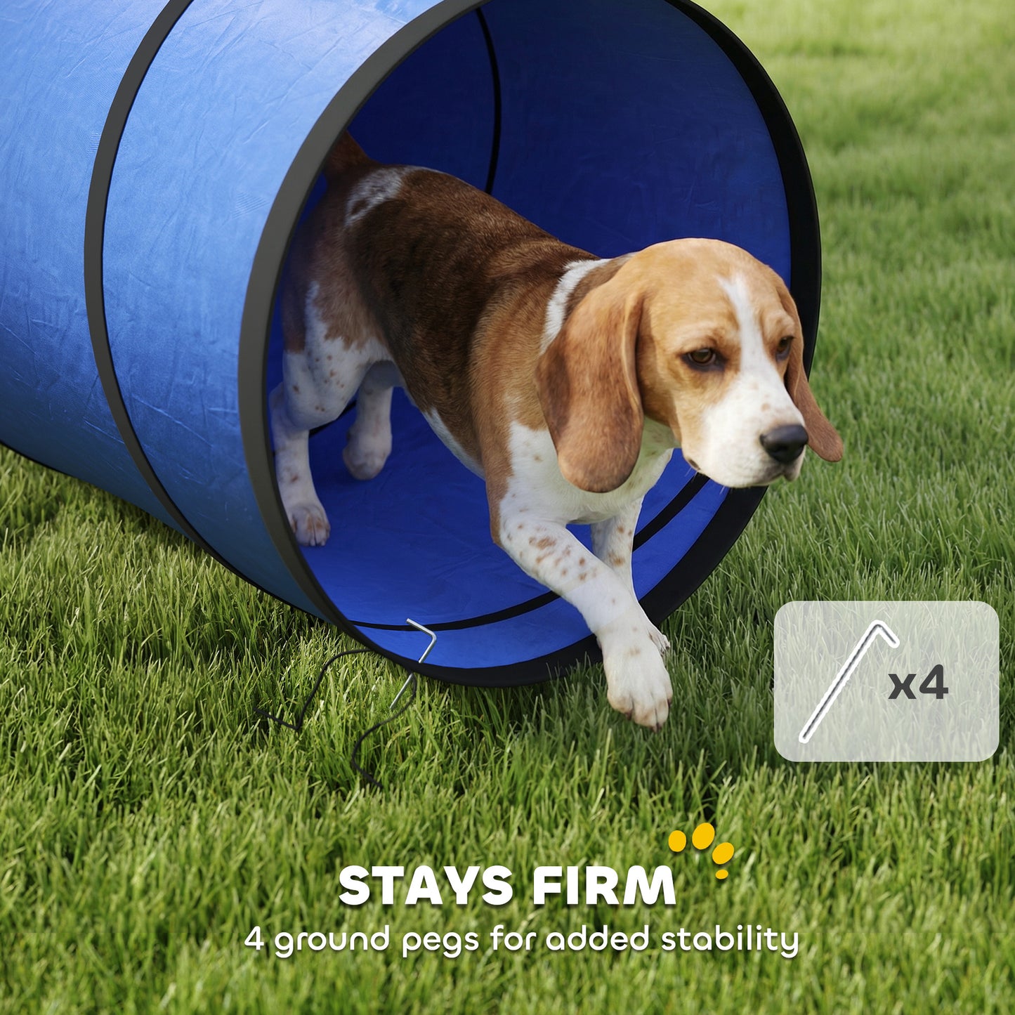 Dog Tunnel, 300 x 50 cm, Foldable Play Tunnel with 4 Pegs and Bag, Tear-Resistant Outdoor Dog Agility Equipment, Blue