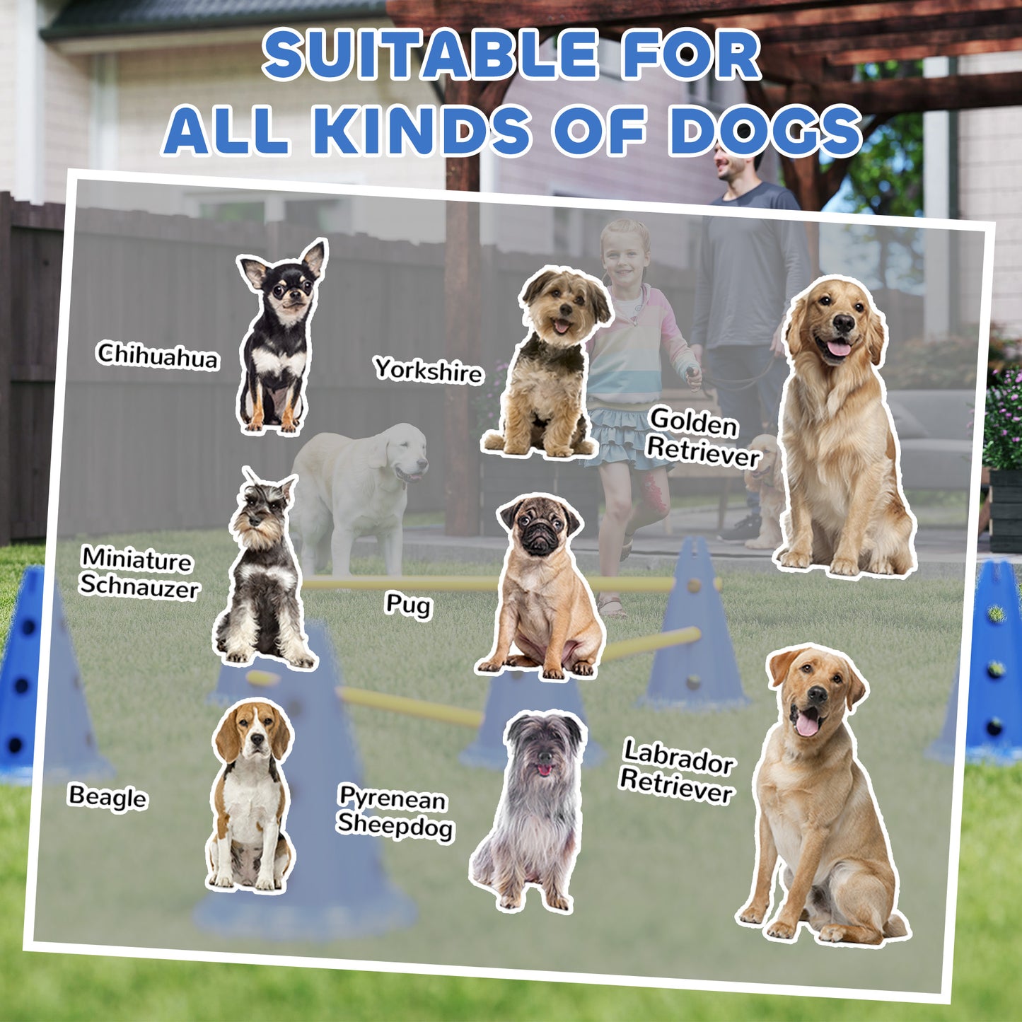 Dog Agility Equipment Set of Six Cones, Six Poles with Carry Bag, Three-Piece Adjustable Height Jumping Obstacles, Blue
