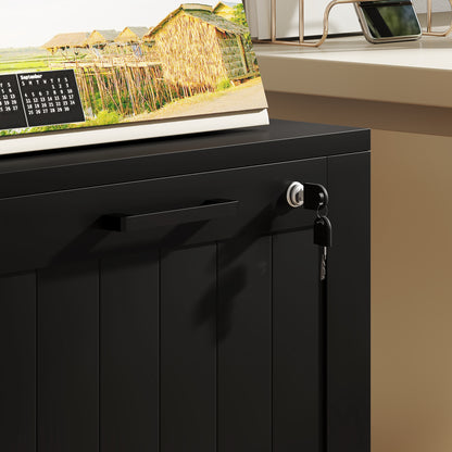 2 Drawer Filing Cabinet with Lock, Office Storage Cabinet with Adjustable Hanging Bars for A4 Letter Size Files, Black