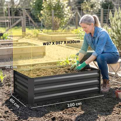 Set of Two 100 x 60cm Steel Planter Boxes - Grey
