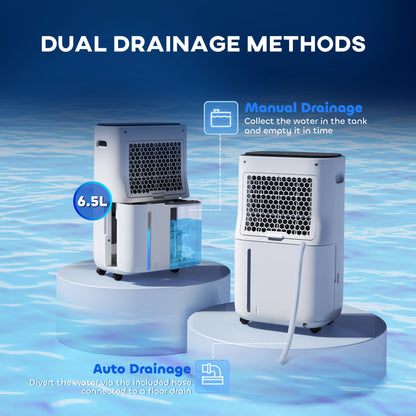6500mL Portable Dehumidifier with Air Purifier Filter, 24H Timer, 4 Modes, 22L/Day, for Home Laundry Basement