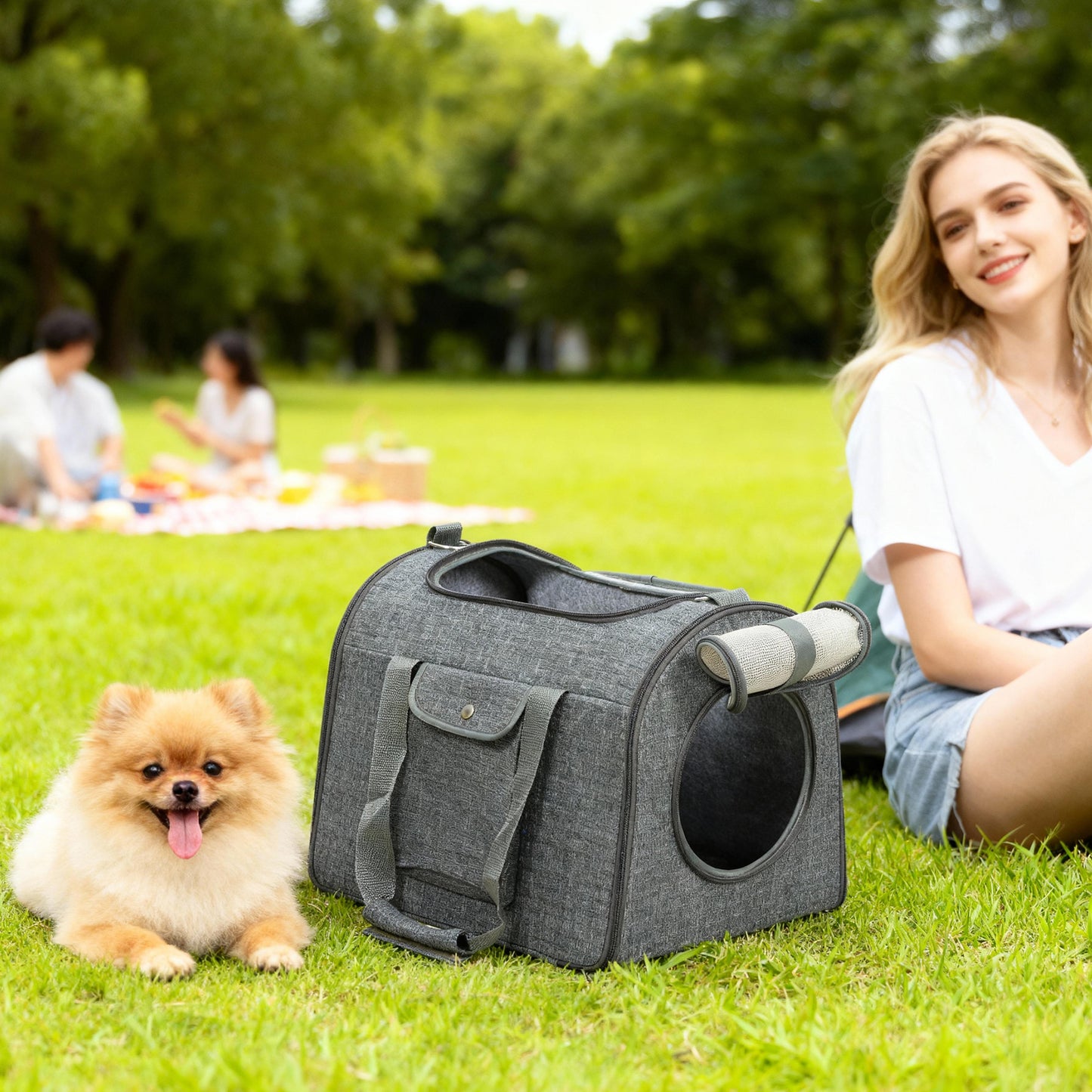 Soft Sided Cat Carrier Bag, Portable Foldable Pet Carrier with Shoulder Strap & Removable Mat for Small Pet Up to 10kg