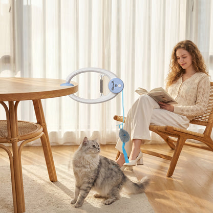 Interactive Cat Toys for Indoor Kittens & Adult USB Rechargeable Door Hanging Bouncing Mouse Teaser