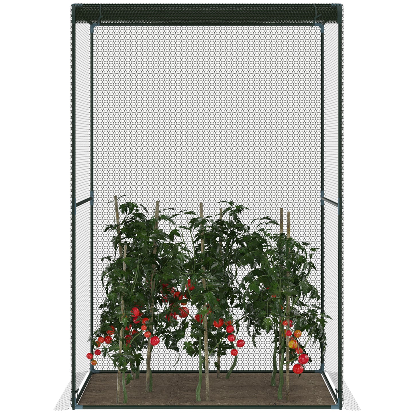 120 x 120cm Compact Plant Cage, with Netting - Green
