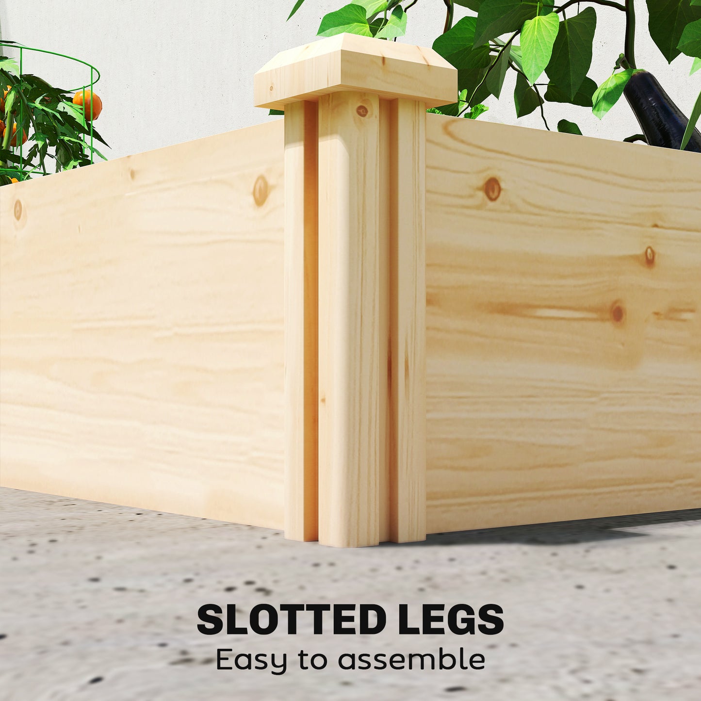 Raised Garden Bed, Wooden Planter Box with Divider and Open Bottom for Flowers, Herbs, Vegetables, DIY Painting