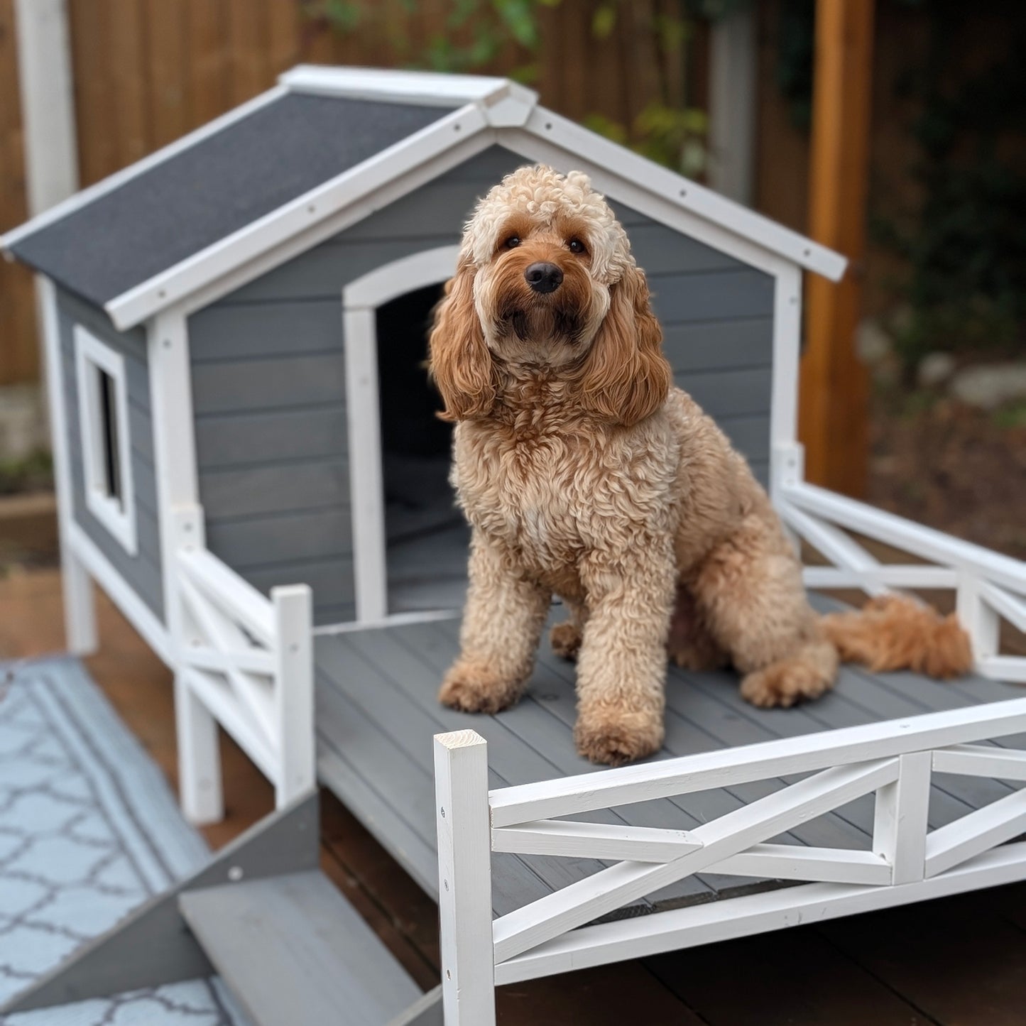 Small/Medium Dog House with Porch, Grey