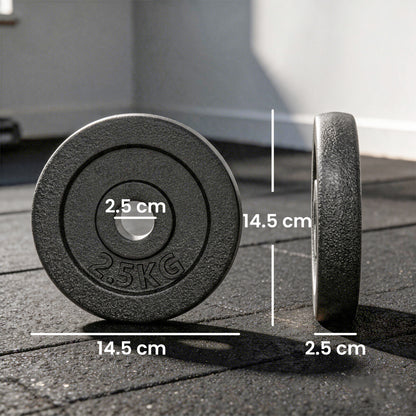 Weight Plates Set, 1"/2.5cm Weight Disc Pair, 4 x 2.5kg Metal Dumbbell/Barbell Plates for Home Gym