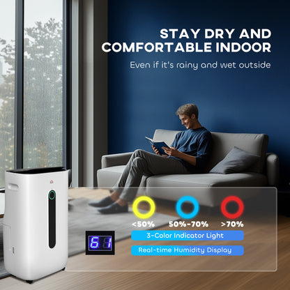 6500mL Portable Dehumidifier with Air Purifier Filter, 24H Timer, 4 Modes, 22L/Day, for Home Laundry Basement