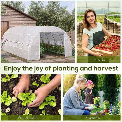 6 x 3 x 2 m Polytunnel Greenhouse with Roll-up Side Walls, Walk-in Grow House Tent with Steel Frame, Reinforced Cover