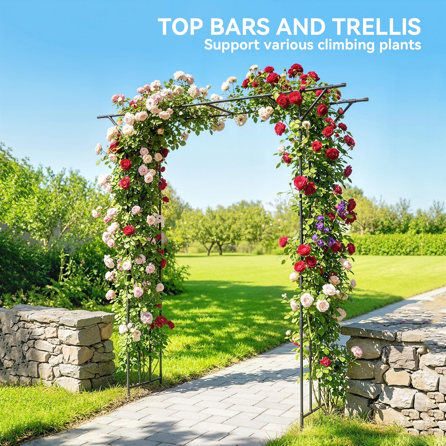 Garden Arch, PE-Coated Steel Arbour Trellis for Climbing Plants, Rose Arch, 180 x 40 x 215 cm, Black