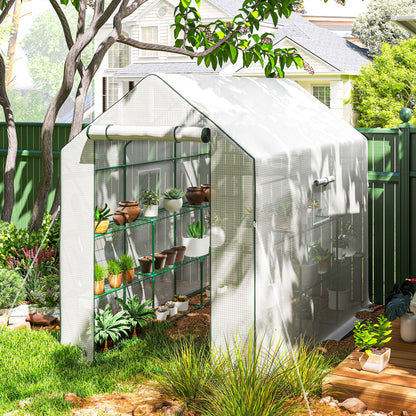 Walk-in Greenhouse with 3 Tier 12 Shelves, Small Greenhouse with Reinforced PE Cover