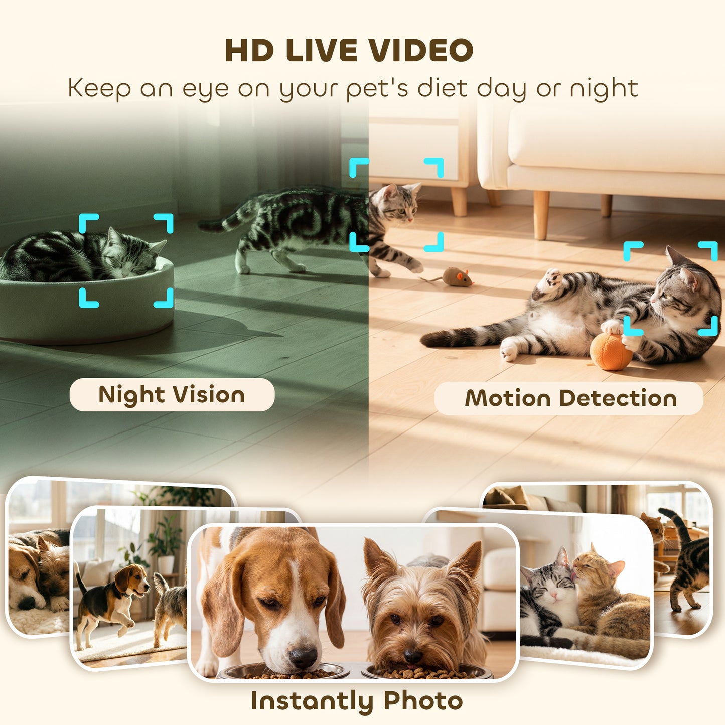 Automatic Cat Feeder for 2 Cats with HD Camera，2.4G & 5G WiFi Pet Food Dispenser 6L APP Control
