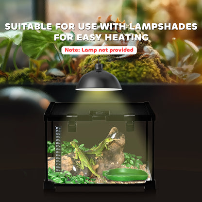 Glass Reptile Terrarium Insect Breeding Tank Vivarium Habitats with Thermometer for Lizards, Horned Frogs, Snakes, Spiders