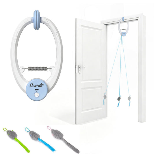 Interactive Cat Toys for Indoor Kittens & Adult USB Rechargeable Door Hanging Bouncing Mouse Teaser