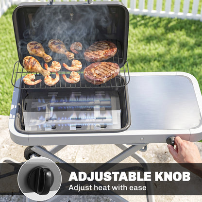 Foldable Gas BBQ Grill with Side Table, Portable Gas Barbecue Grill with Thermometer, Grease Box, Wheels, 2.5 kW, Black