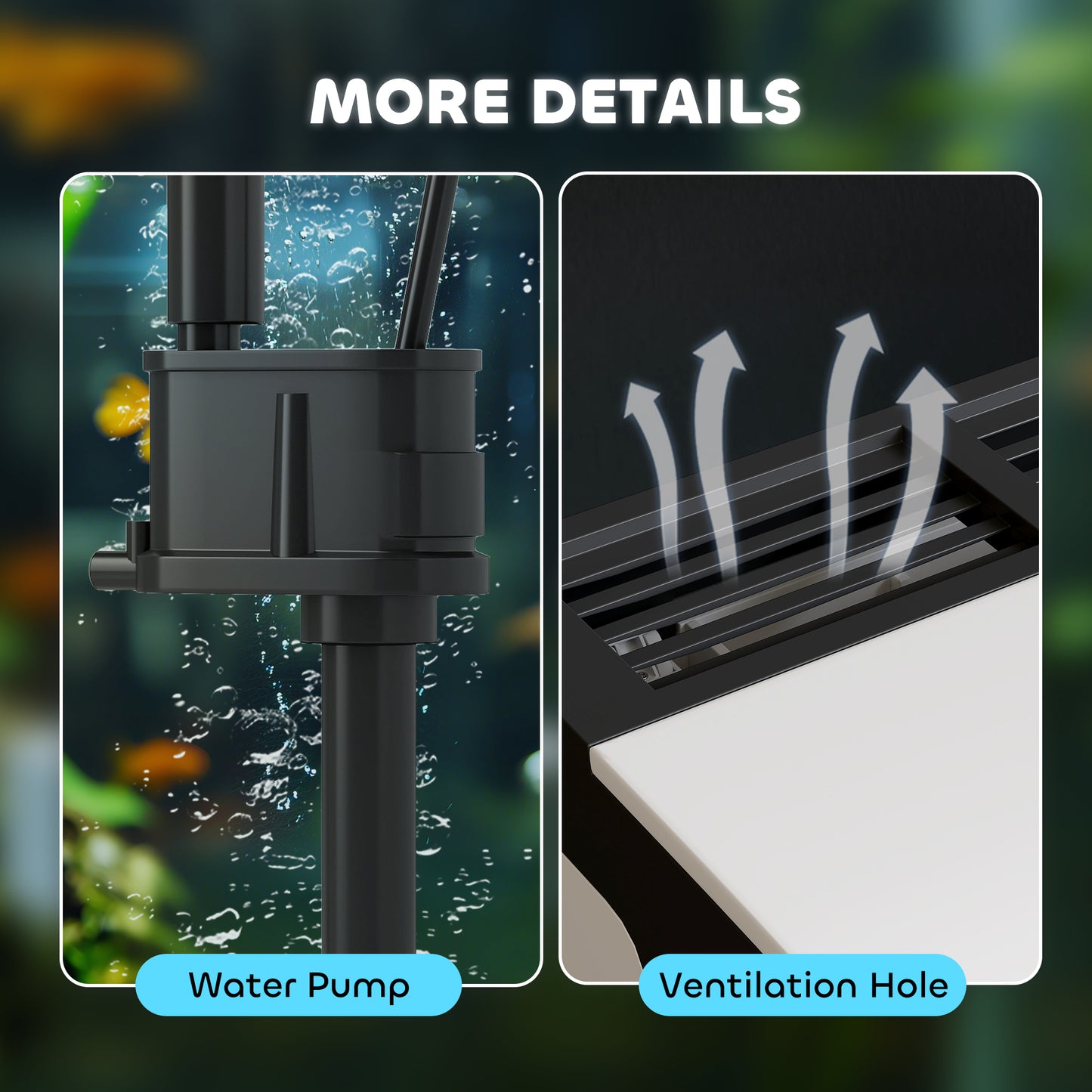 13L Glass Aquarium Fish Tank with Filter, LED Lighting, for Betta, Guppy, Mini Parrot Fish, Shrimp, 29 x 20 x 30.5cm
