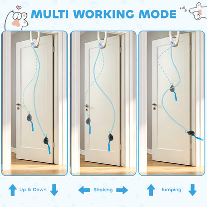 Interactive Cat Toys for Indoor Kittens & Adult USB Rechargeable Door Hanging Bouncing Mouse Teaser