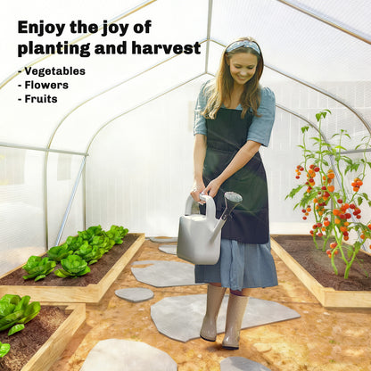 Walk-In Polytunnel Greenhouse Warm House Garden Tunnel Shelter Plant Shed with Door and Windows, Galvanised Steel Frame