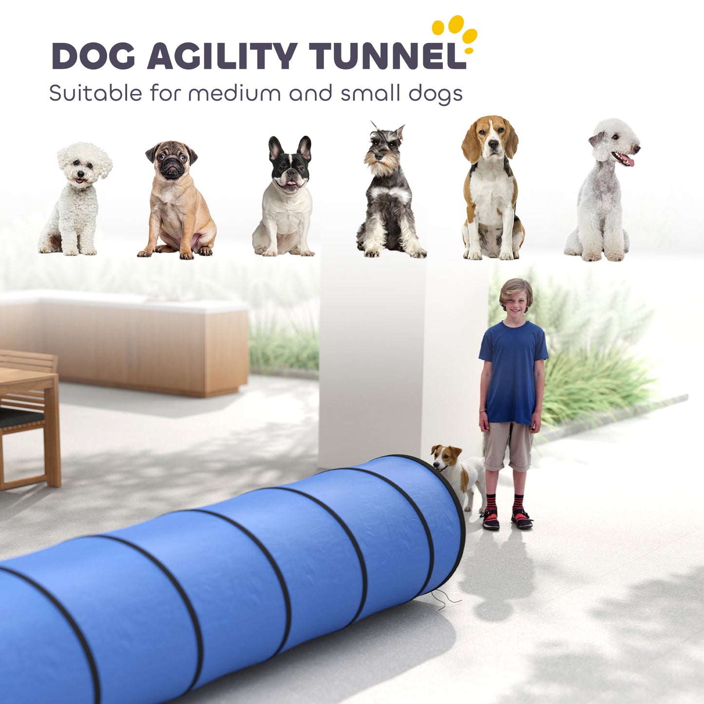 Dog Tunnel, 300 x 50 cm, Foldable Play Tunnel with 4 Pegs and Bag, Tear-Resistant Outdoor Dog Agility Equipment, Blue