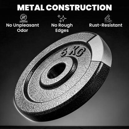 Weight Plates Set, 1"/2.5cm Weight Disc Pair, 4 x 5kg Metal Dumbbell/Barbell Plates for Home Gym