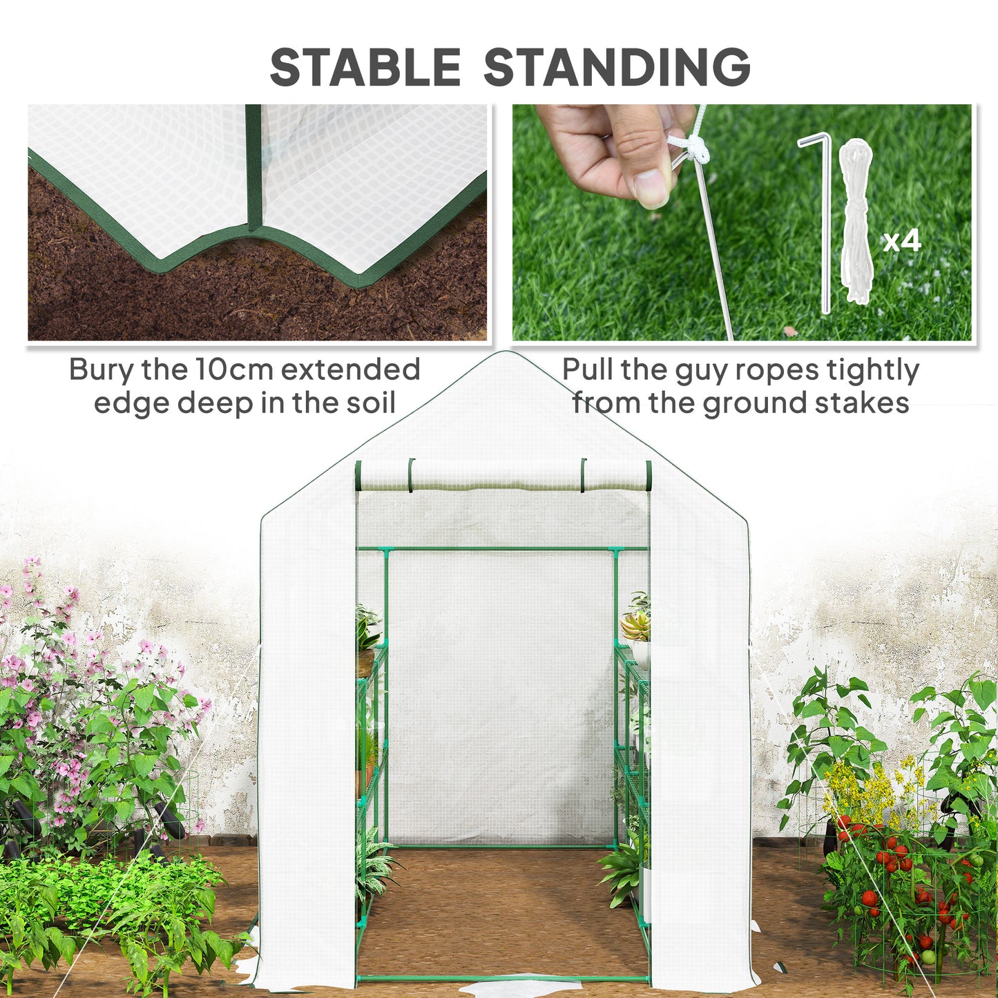 Walk-in Greenhouse with 3 Tier 12 Shelves, Small Greenhouse with Reinforced PE Cover