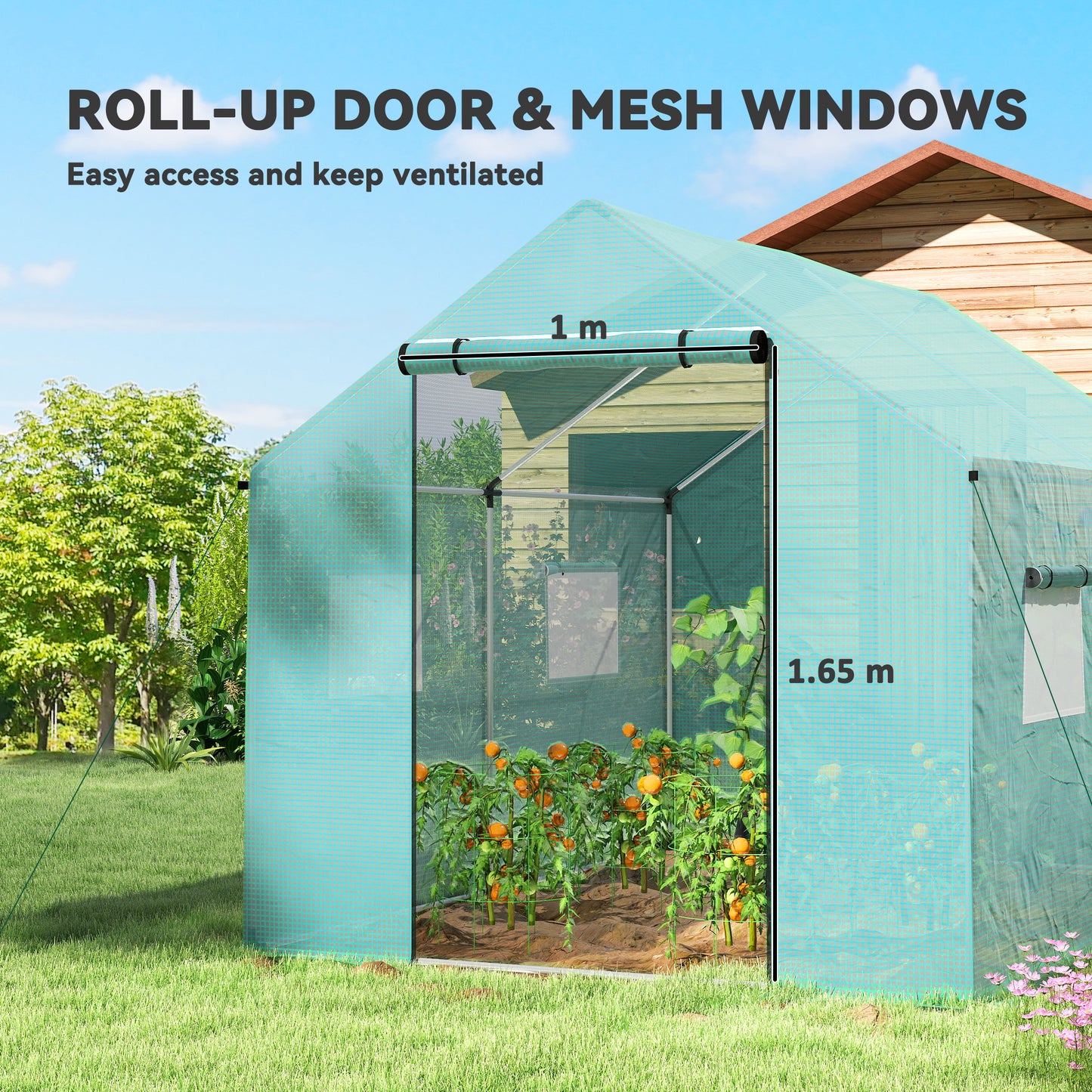 Polyethylene Walk-in Polytunnel Greenhouse, 2 x 3(m), Green