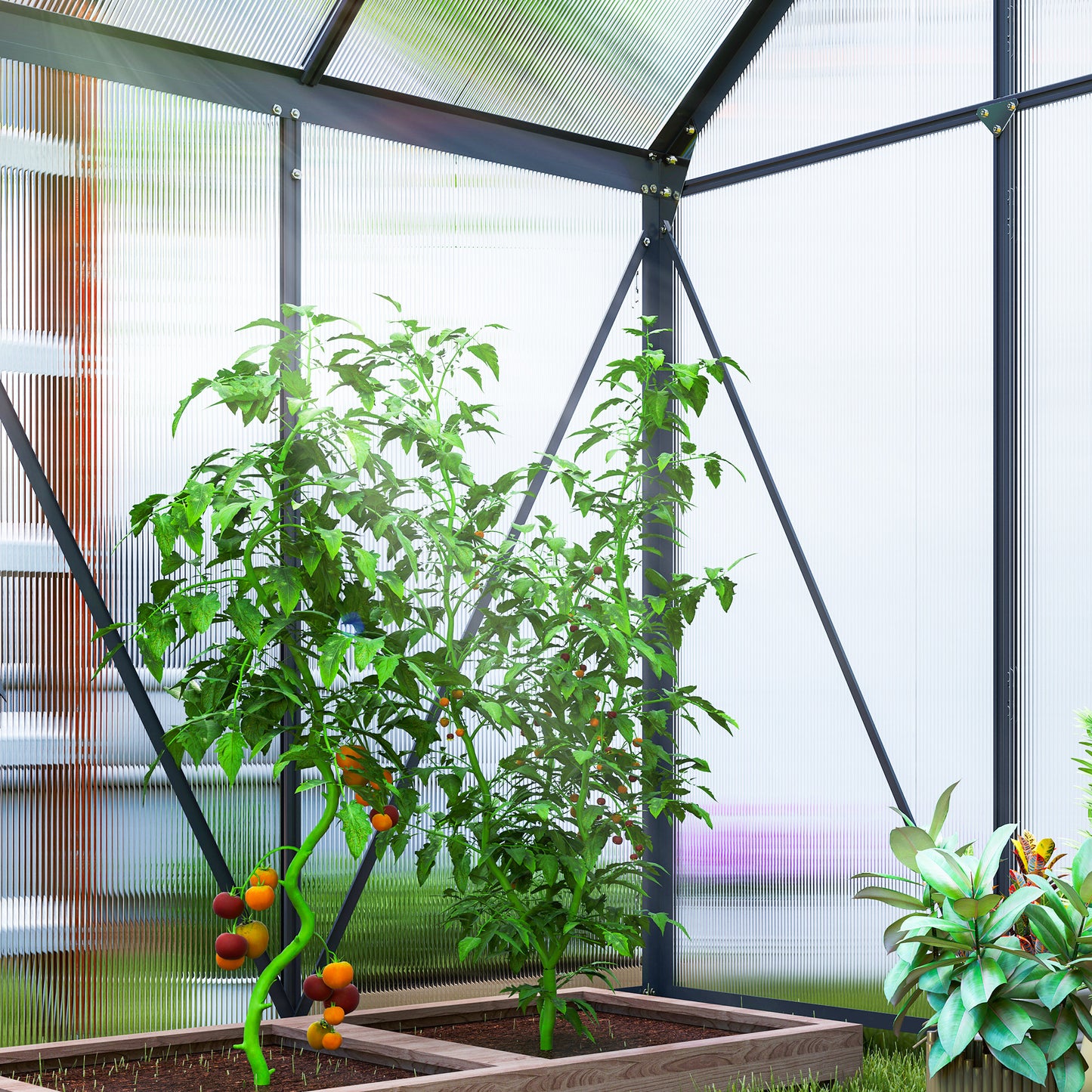 192.5 x 131cm Walk-In Polycarbonate Greenhouse