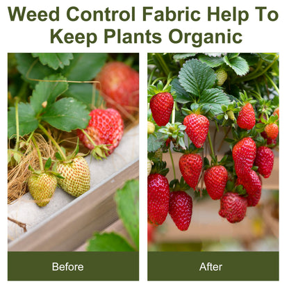 1m x 50m Weed Control Membrane, Heavy Duty Weed Control Barrier Fabric, 100gsm Ground Cover for Patios, Garden
