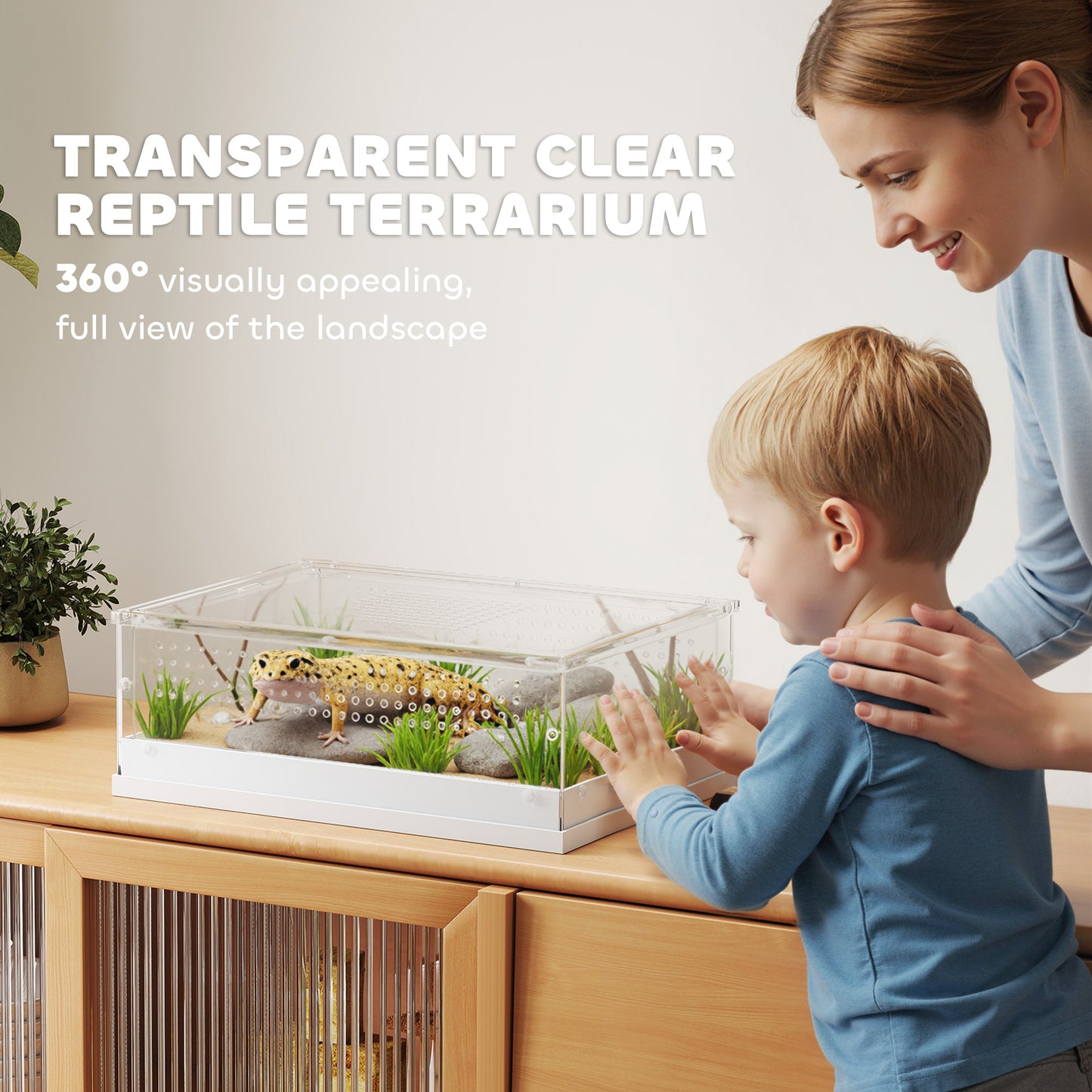 Acrylic Reptile Terrarium with Top Sliding Door, Vents, for Snake, Frog, Spider, Gecko, Tarantula, 40 x 30 x 15 cm