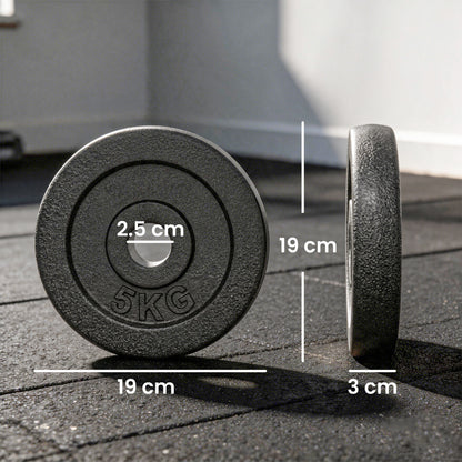 Weight Plates Set, 1"/2.5cm Weight Disc Pair, 4 x 5kg Metal Dumbbell/Barbell Plates for Home Gym