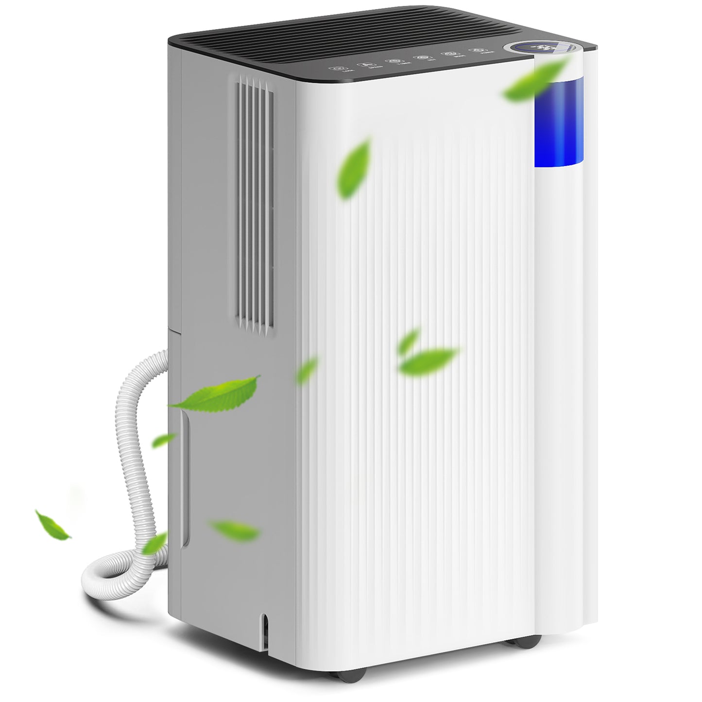 12L/Day Dehumidifier, with Filter - White