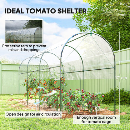 Tunnel Tomato Greenhouse with 4 Hoops and Top Tap, Pointed Bottom and Guy Ropes, 400 x 123 x 171 cm, Clear