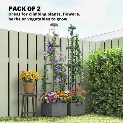 2 Pack Raised Garden Bed with Trellis, Plastic Outdoor Planter Box with Removable Drainage Tray