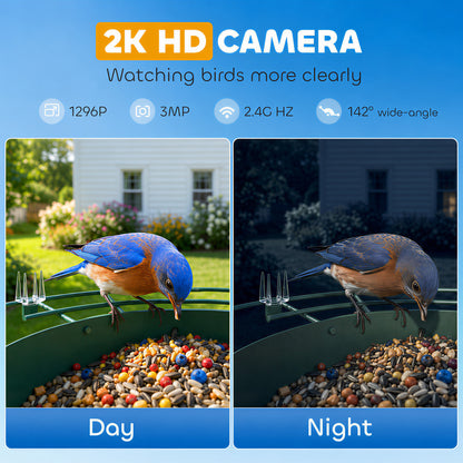 Smart Bird Feeder Camera 2K HD with AI Identifies 16,000+ Species, 2K HD Auto Capture Video, APP Instant Notifications