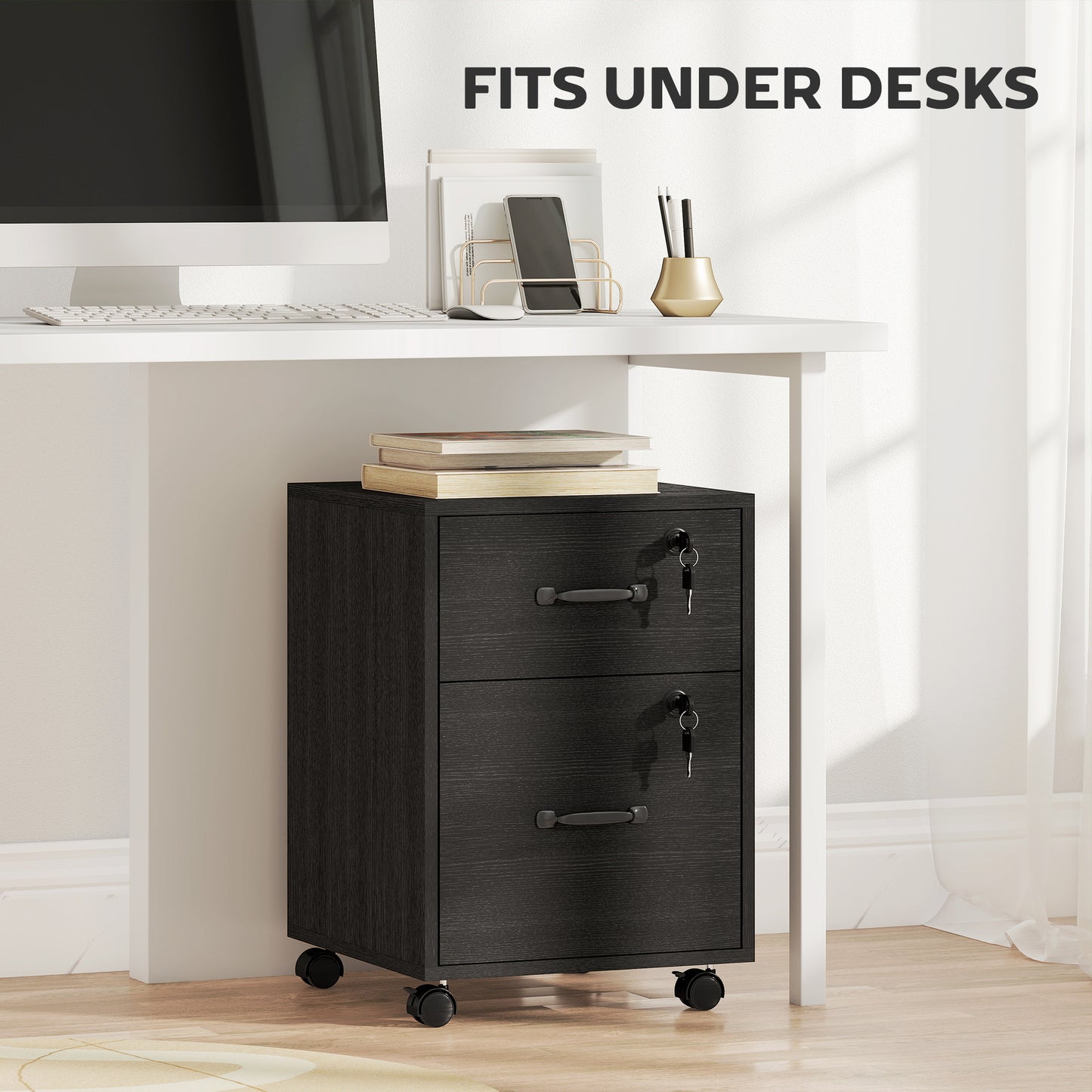 Rolling File Cabinet with 2 Drawers, Mobile Filing Cabinet with Hanging File Folder for Letter Sized Documents, Black